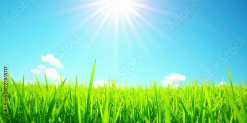 Vibrant Green Grass Blades Reaching for a Sunny Sky with Fluffy White Clouds