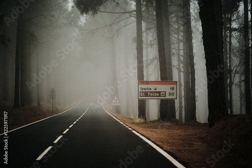 Mysterious foggy road winding through a dense forest.  A road sign points the way. Perfect for travel, adventure, and mystery themes. photo