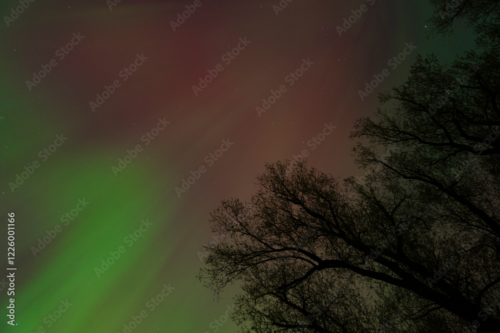 Naklejka premium pink green northern lights