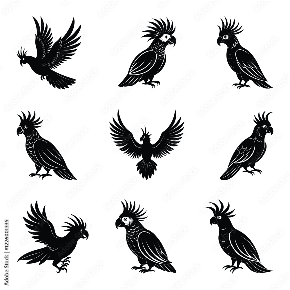 Obraz premium Cockatoo birds silhouette vector illustration