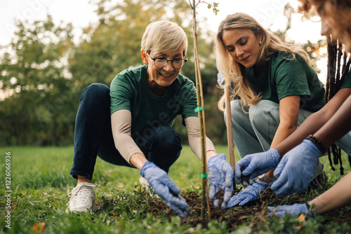 Volunteers planting a tree in a park