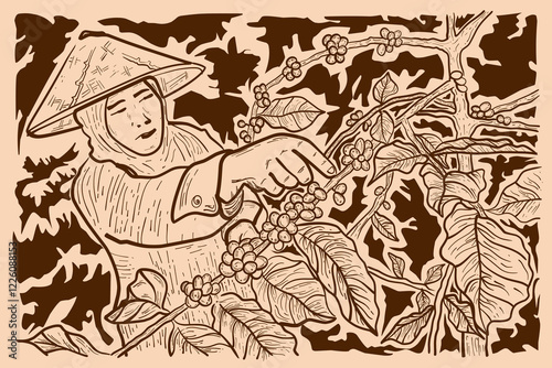 farmers are harvesting coffee beans