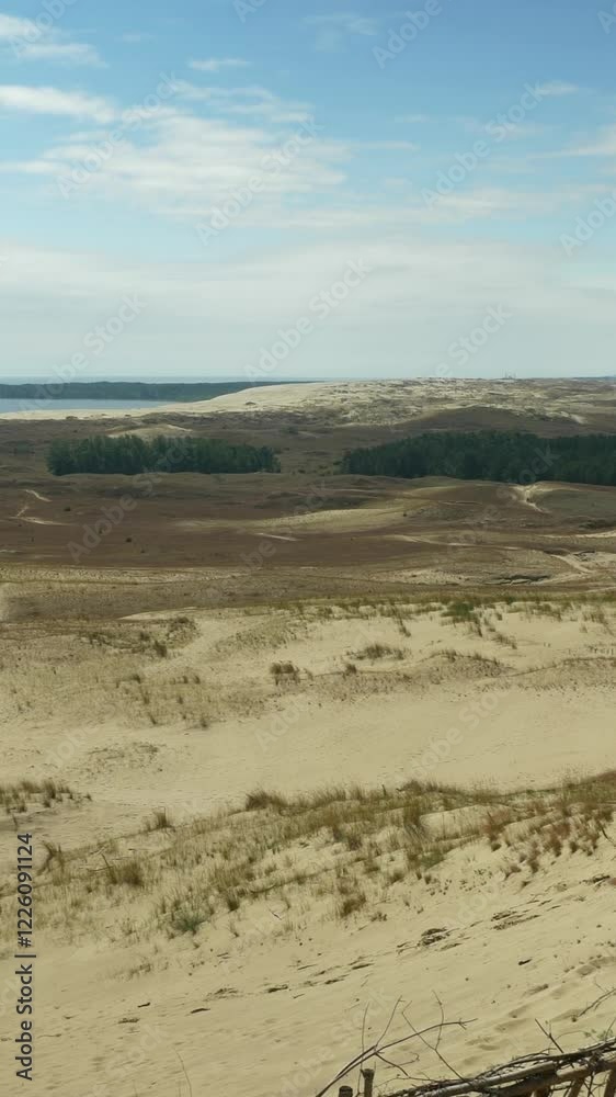 A peaceful panorama of the dunes of Nida with a view of the lagoon and sparse A peaceful panorama of the dunes of Nida with a view of the lagoon and sparse
