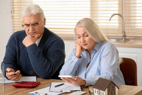 Senior couple calculating u...