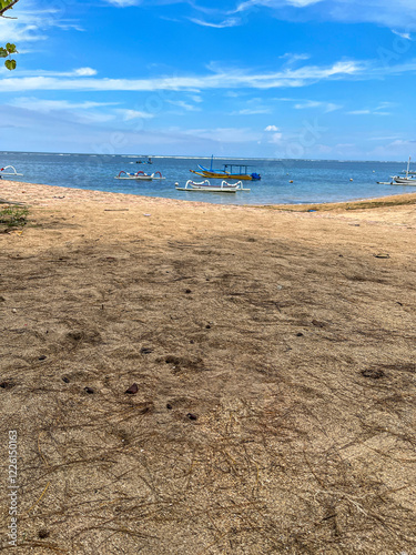 beach in summer