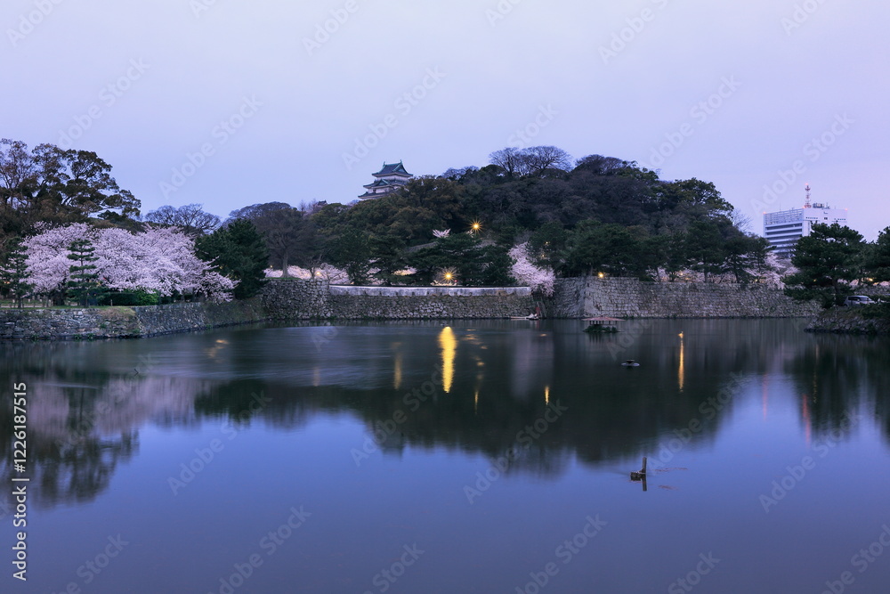 Fototapeta premium 東雲の和歌山城。