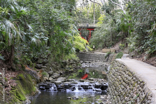 等々力渓谷の風景 photo