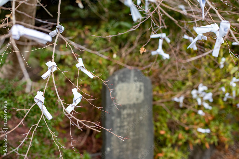 Fototapeta premium 鎌倉2501 大塔宮21 おみくじ