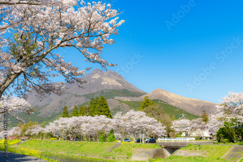 春の由布院 photo