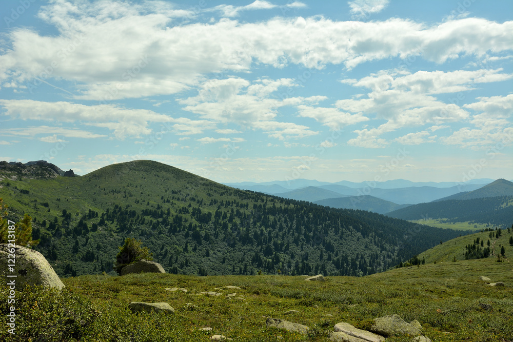 Fototapeta premium A small clearing with a scattering of small stones on the flat top of a mountain in a chain of pointed rocks on a sunny summer day.