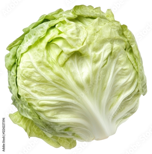 PNG One real lettuce vegetable produce ingredient.