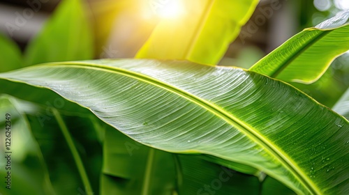 Close-up of vibrant green leaves with sunlight highlighting their texture and moisture.