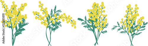 ミモザのベクターイラスト。春のミモザ装飾背景。黄色いミモザの植物背景フレーム。Mimosa vector illustration. Spring mimosa decoration background. Yellow mimosa plant background frame.