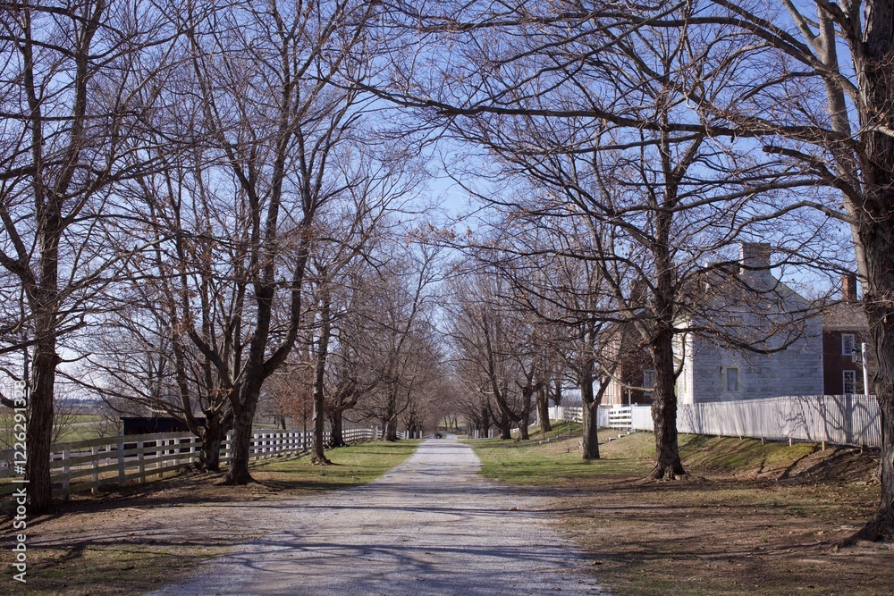 Fototapeta premium Old country road