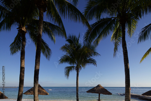 Fototapeta Naklejka Na Ścianę i Meble -  beach with palm trees