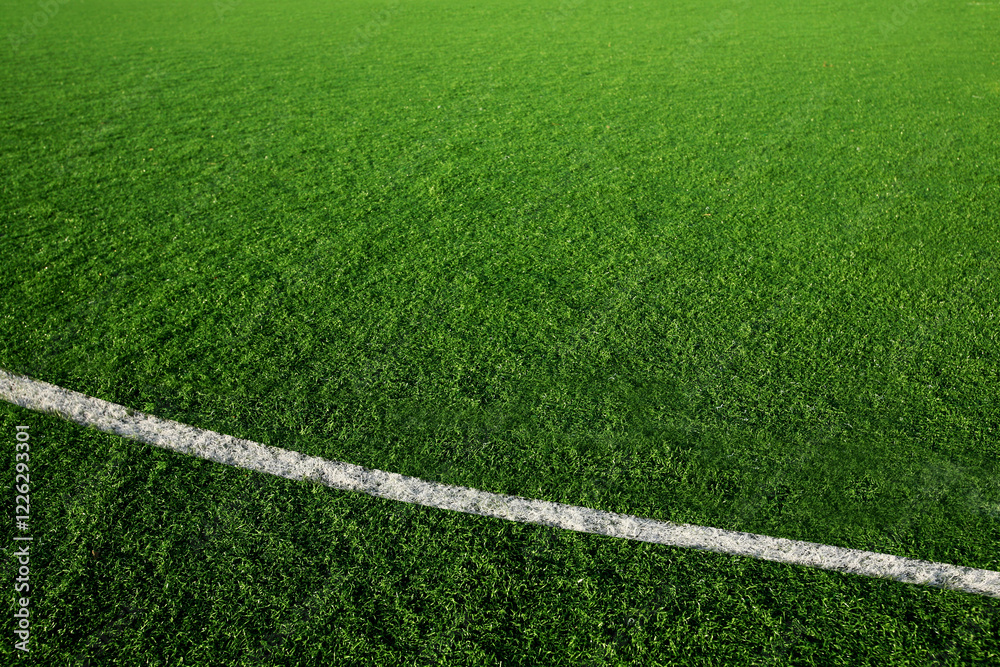 Obraz premium soccer field with lines