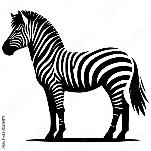 Beautiful zebra silhouette
