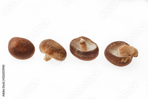 Wallpaper Mural 　生椎茸 Torontodigital.ca