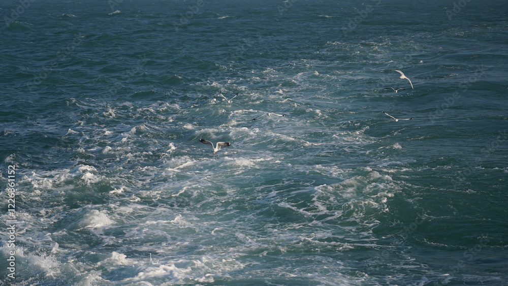 Aerial View of Turbulent Ocean Waves: Dynamic Seascape with Foamy Whitecaps and Flying Seagulls Aerial View of Turbulent Ocean Waves: Dynamic Seascape with Foamy Whitecaps and Flying Seagulls