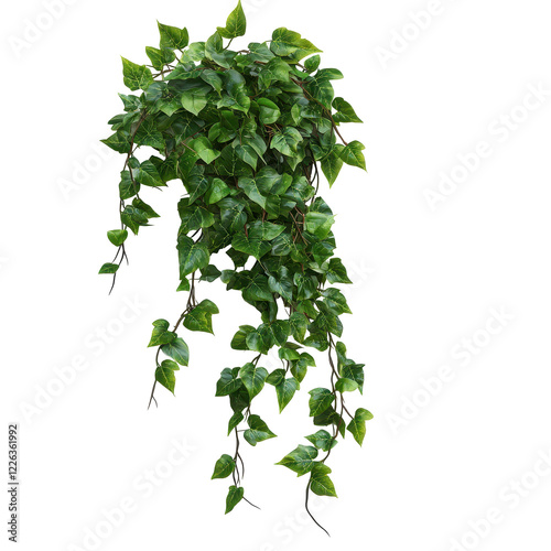 Lush green hanging plant with vibrant leaves. transparent background
