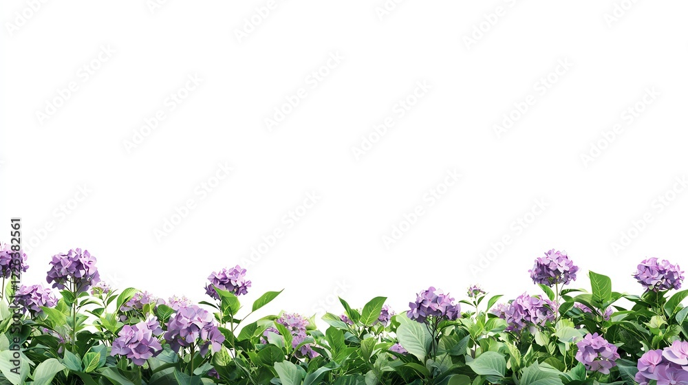 Purple flowers with green leaves arranged on a white background, perfect for decoration, design templates, or as a backdrop for various projects. Purple flowers with green leaves arranged on a white background, perfect for decoration, design templates, or as a backdrop for various projects.