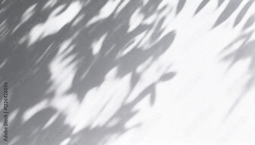 Fototapeta premium Minimal Abstract Expression of Leaf Shadows on a White Wall