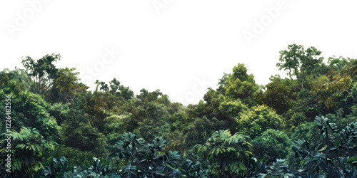 Fototapeta Naklejka Na Ścianę i Meble -  PNG Amazon forest landscape nature scenery natural.