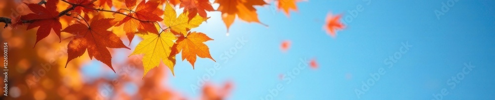 Soft focus of orange maple leaves falling from tree against bright blue sky, landscape, nature Soft focus of orange maple leaves falling from tree against bright blue sky, landscape, nature