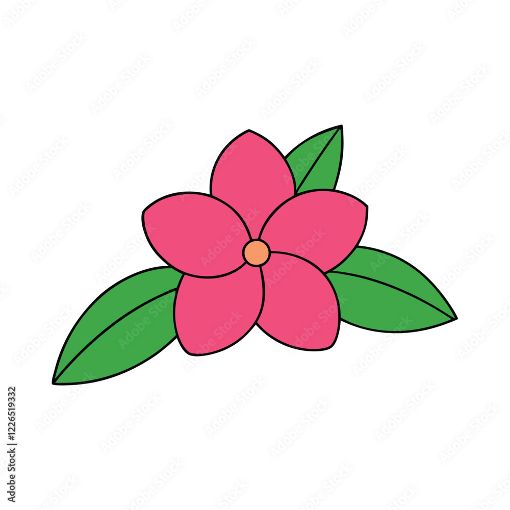 Adenium flower on a white background. Adenium flower on a white background.