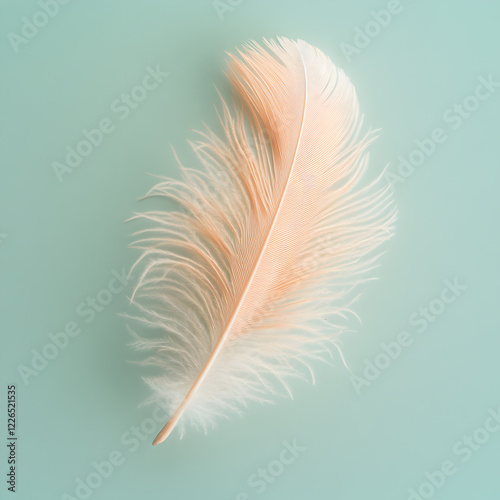 Soft pastel feather resting on a mint green background for an elegant and calming effect