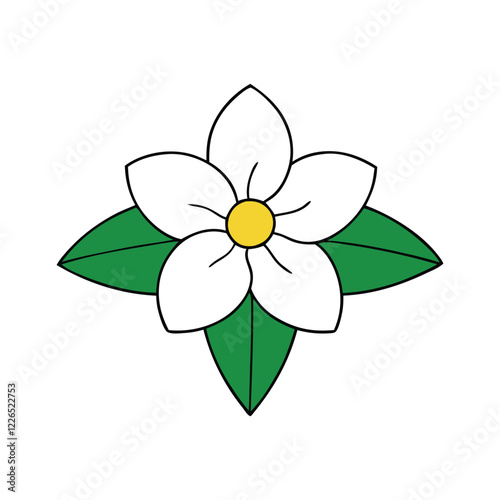 Jasmine flower on a white background.