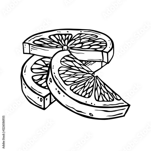 Lemon pieces illustration. Hand drawn ink graphic of citrus fruit. Linear drawing of lime. Outline sketch of citron. Black line art of chopped grapefruit for kitchen textiles, packaging or label