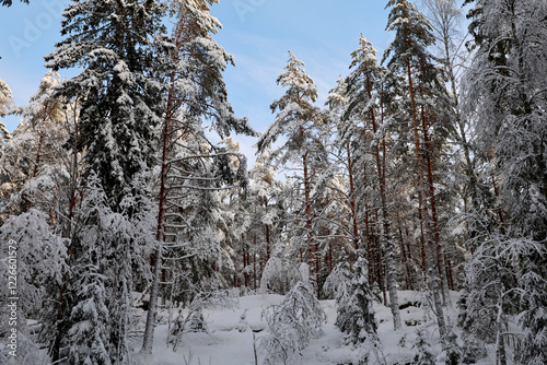 Obraz na płótnie Winter