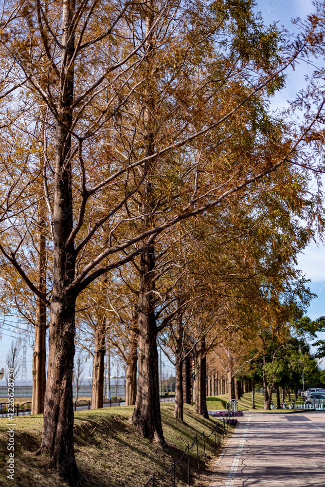 Naklejka premium 安城産業文化公園デンパーク