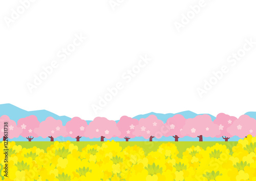 桜並木と菜の花畑の春っぽい背景イラスト　白バック