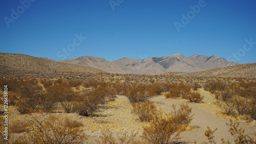 Goodsprings Mining Ghost Town in Nevada