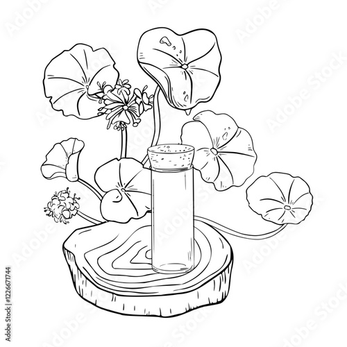 Centella asiatica essential oils on wooden stand black white vector illustration isolated. Pennywort hydrating herb, gotu kola hand drawn monochrome linear sketch for design package, label, wrapping.