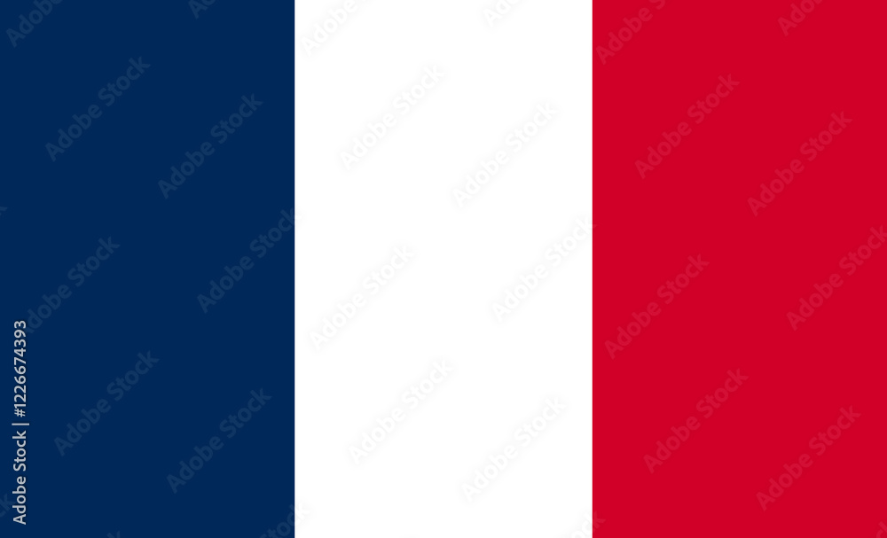 The flag of France official national flag isolated vector The flag of France official national flag isolated vector