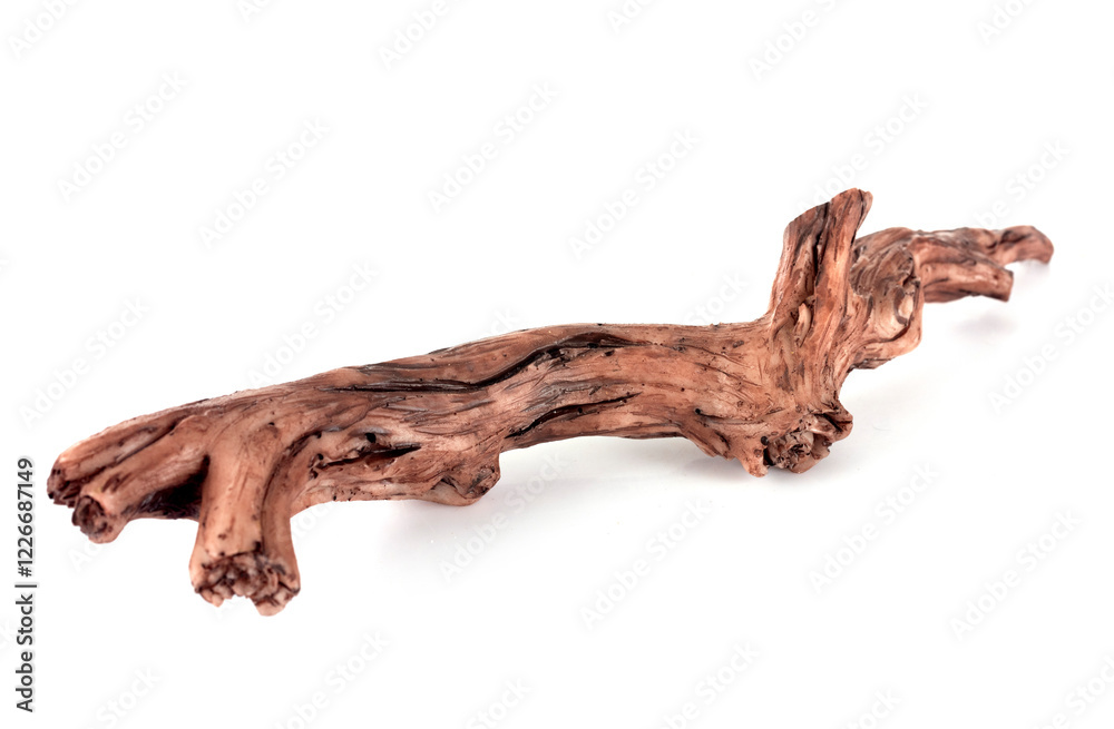 root for aquarium root for aquarium
