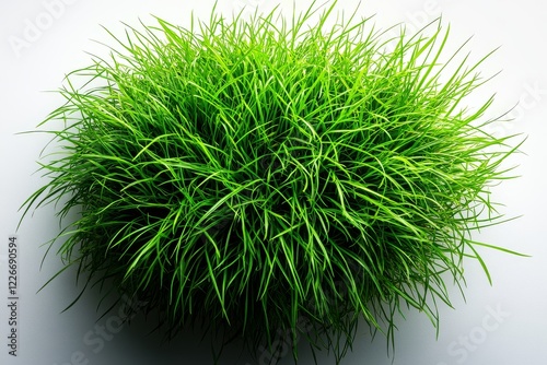 Lush green grass clump isolated on a white background, top view with soft shadow, full focus, and studio lighting. photo