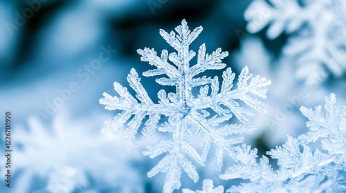 Intricate Ice Crystal Snowflake Winter Wonder photo