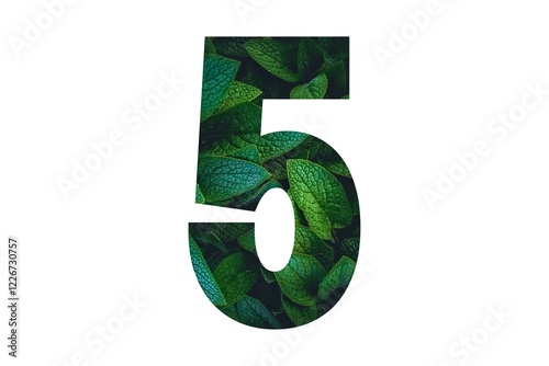 Number five made of green leaves set on white background. Paper cut of number 5 isolated on white background. Nature concept of number. Font style