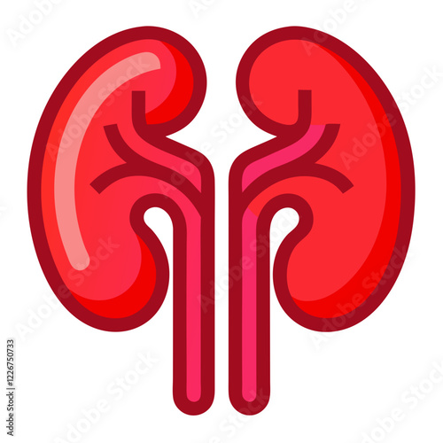 kidneys icon design