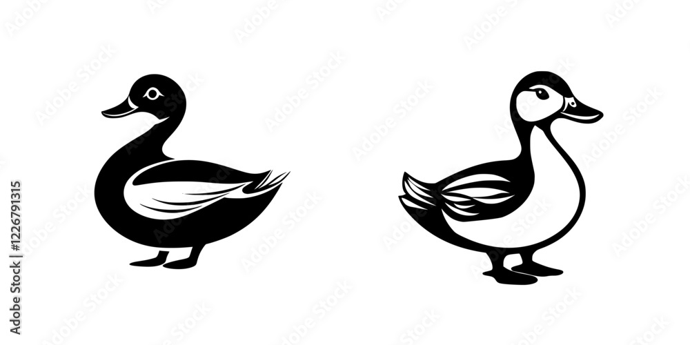 Stylized black and white illustrations of two distinct duck species with detailed feathers and unique shapes Stylized black and white illustrations of two distinct duck species with detailed feathers and unique shapes