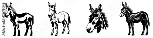 Various illustrations of horses and donkeys showing distinct breeds and features in a monochrome design photo