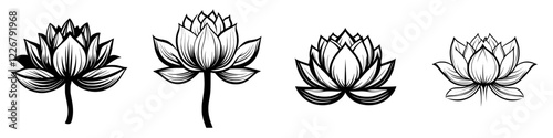 Various lotus flower illustrations showcasing different stages of bloom against a simple backdrop
