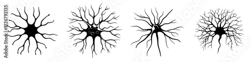 Study of neuron structures illustrating different types and shapes in a scientific context