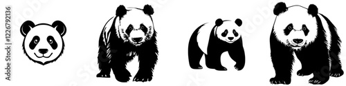 Panda illustrations showcasing various sizes and postures in a playful and artistic style