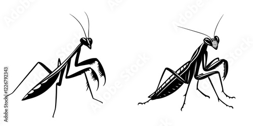 Two illustrated mantises showcasing unique designs and poses in a minimalistic style