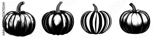 Variety of pumpkins displayed in black and white illustration showcasing different shapes and textures for autumn decor